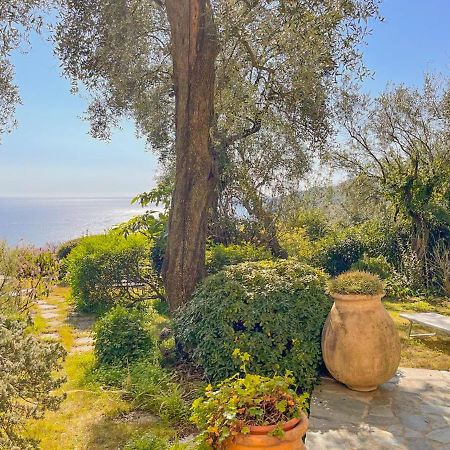 L'Uliveto Di Santa Con Piscina Villa Santa Margherita Ligure Buitenkant foto