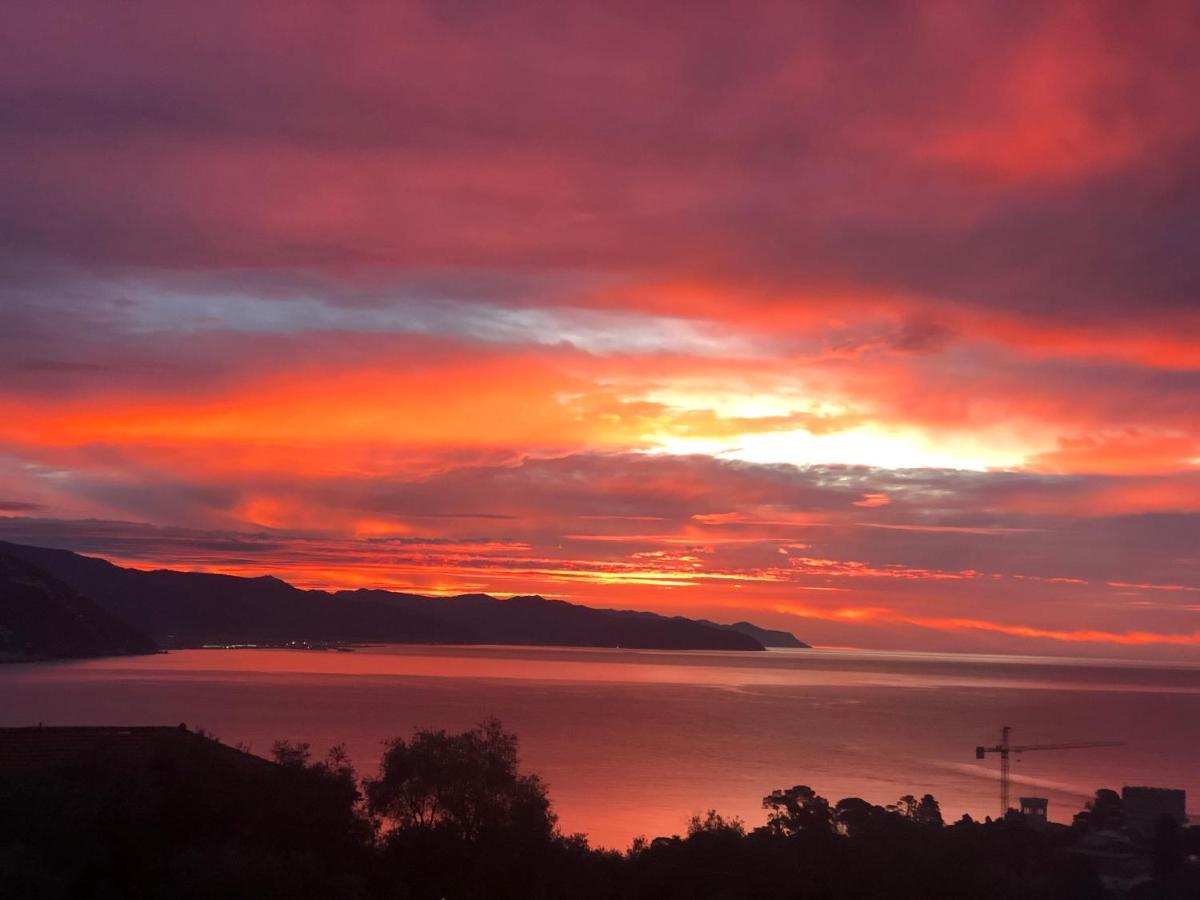 L'Uliveto Di Santa Con Piscina Villa Santa Margherita Ligure Buitenkant foto