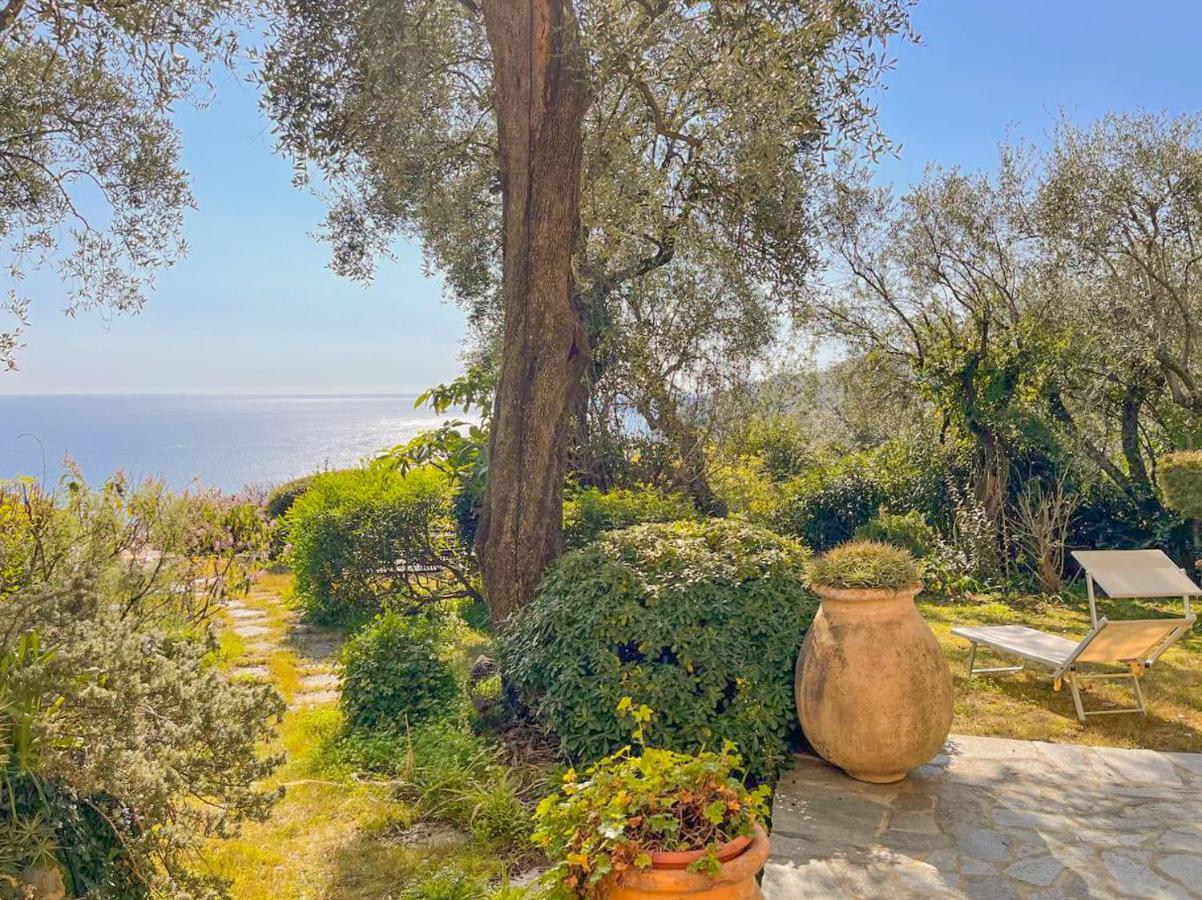 L'Uliveto Di Santa Con Piscina Villa Santa Margherita Ligure Buitenkant foto